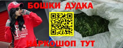 молекула духа Новозыбков